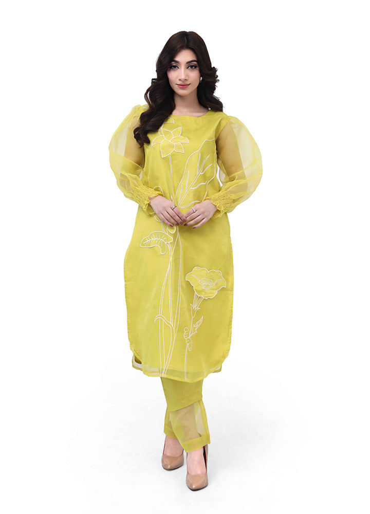 Zaynah – Appliqué Organza Set