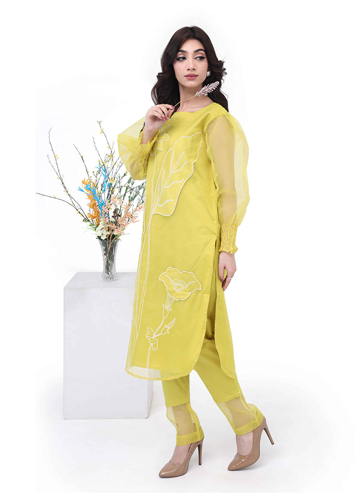 Zaynah – Appliqué Organza Set