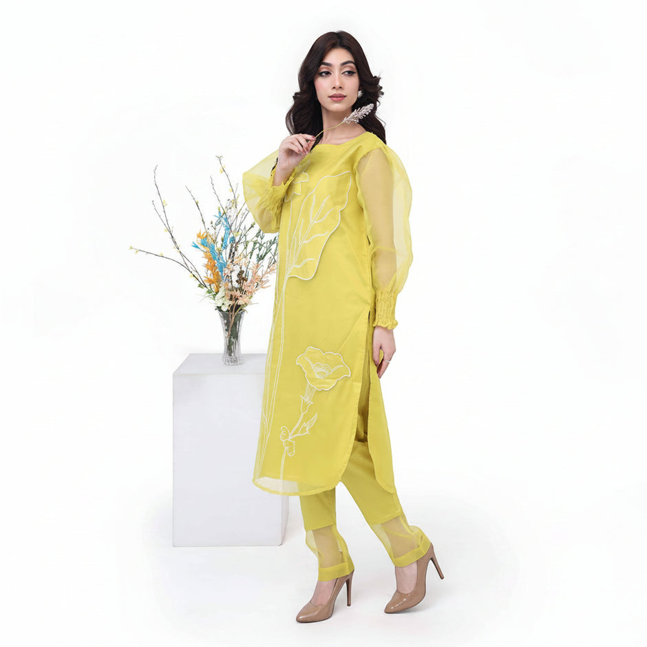Zaynah – Appliqué Organza Set - Zardham – Trendy Clothing for Girls & Women