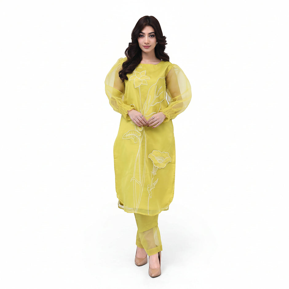 Zaynah – Appliqué Organza Set - Zardham – Trendy Clothing for Girls & Women