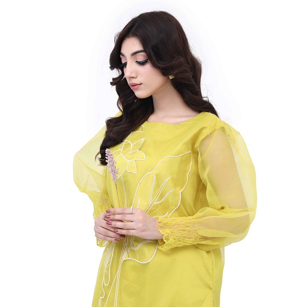 Zaynah – Appliqué Organza Set - Zardham – Trendy Clothing for Girls & Women