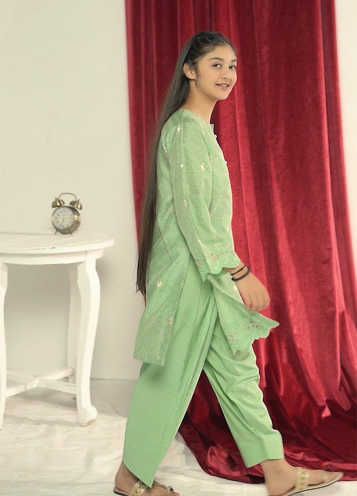 Sage Green Tilla suit by Zardham, side profile showing tilla embroidery